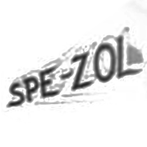 Spe-Zol logo - angled expanding letters with speed lines around