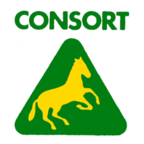 Consort logo - yellow horse on green triangle