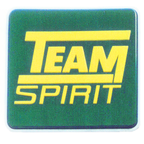 1980s Team Spirit logo - green with yellow text