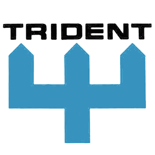 Trident logo - cyan blue trident with black text in Eurostile Extended or similar